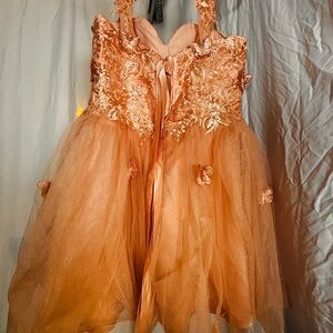 Elegant Peach Tulle Dress with Floral Embellishments